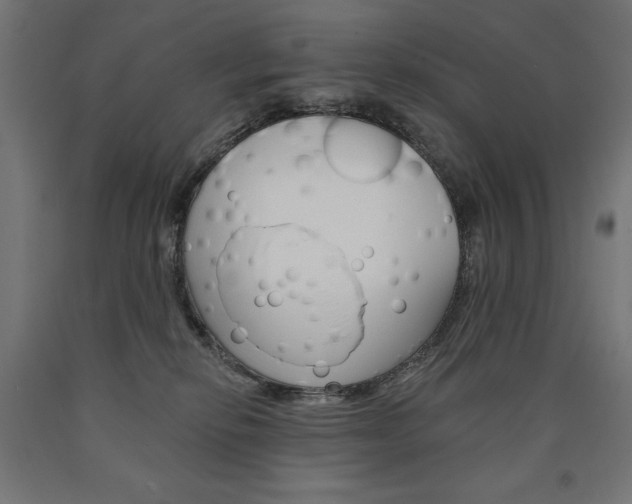 X0000090980278200708021147