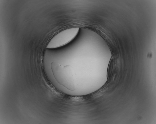 X0000090980281200708021148