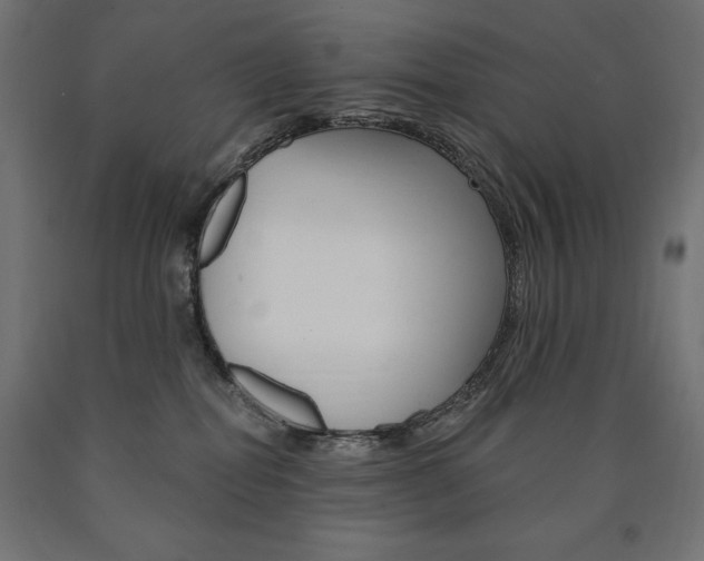 X0000090980282200708021148