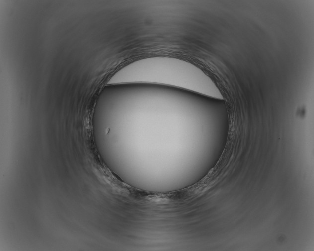 X0000090980284200708021148