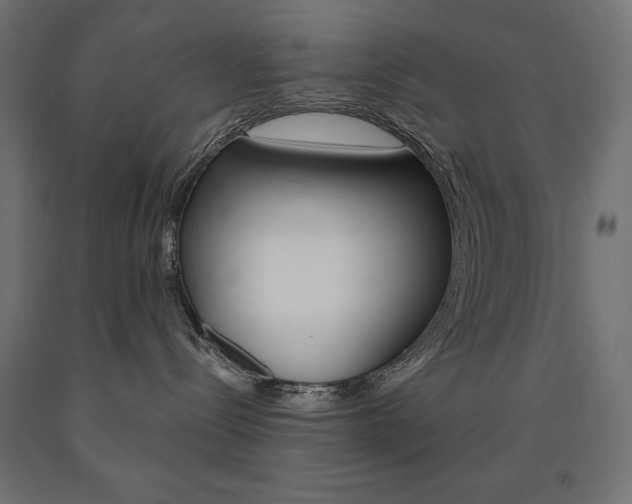 X0000090980288200708021148