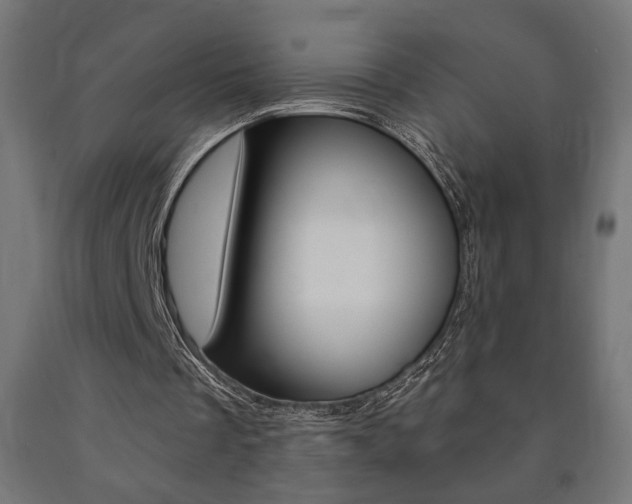 X0000090980289200708021147