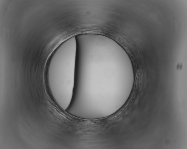 X0000090980290200708021147