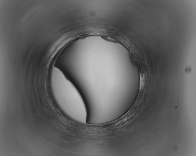 X0000090980291200708021147