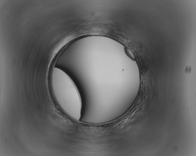 X0000090980292200708021147