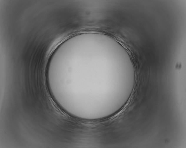 X0000090980293200708021147