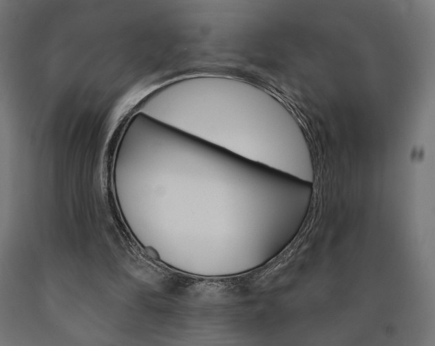 X0000090980294200708021147