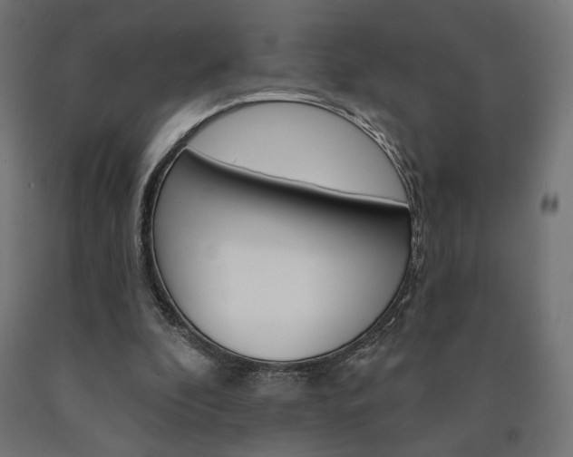 X0000090980296200708021147