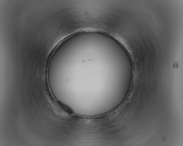 X0000090980297200708021147