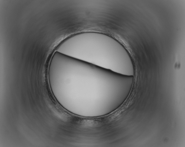 X0000090980298200708021147