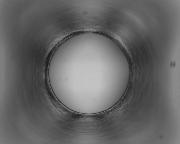 X0000090980299200708021147
