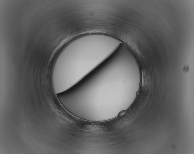 X0000090980300200708021147