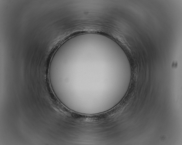 X0000090980303200708021147