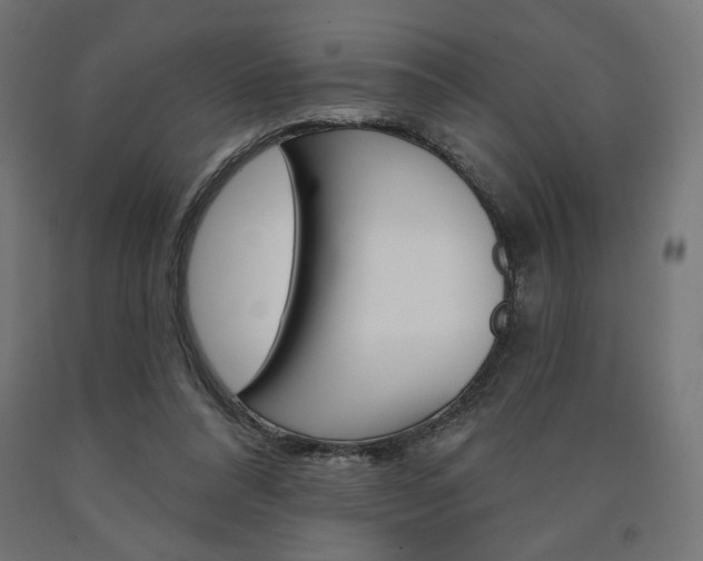 X0000090980304200708021147