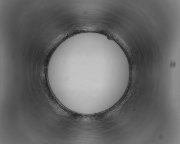 X0000090980305200708021147