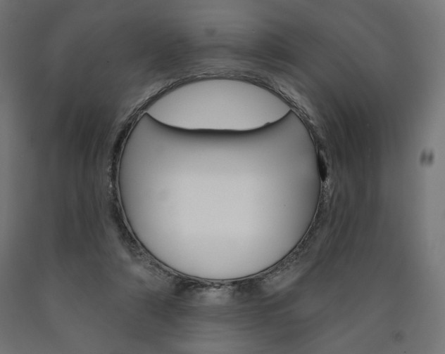 X0000090980306200708021147