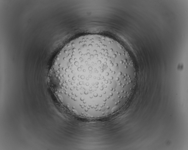 X0000090980307200708021147