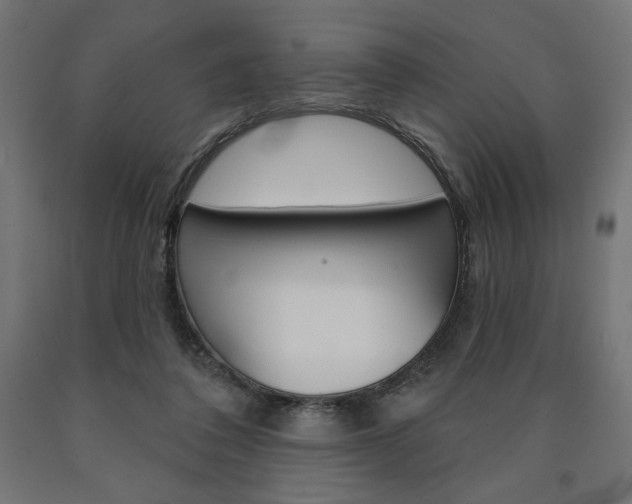 X0000090980308200708021147