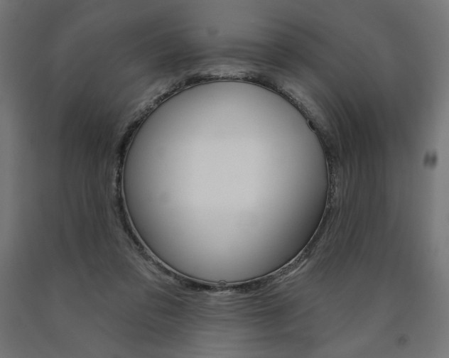 X0000090980309200708021147