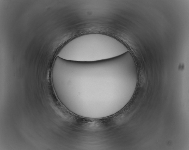 X0000090980310200708021147