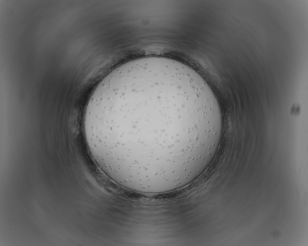 X0000090980311200708021147