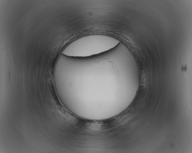 X0000090980318200708021147