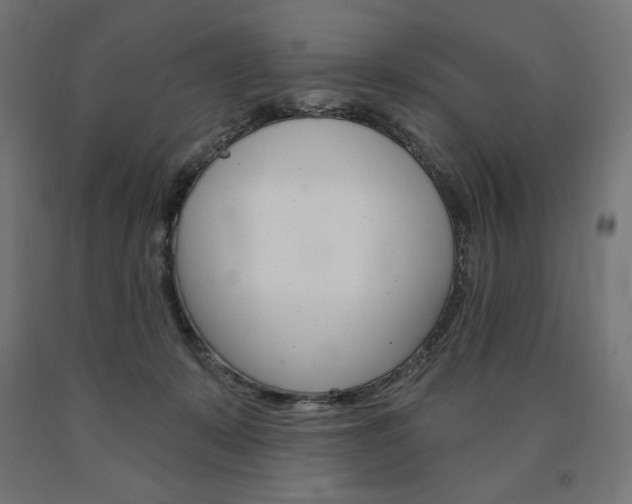 X0000090980319200708021147