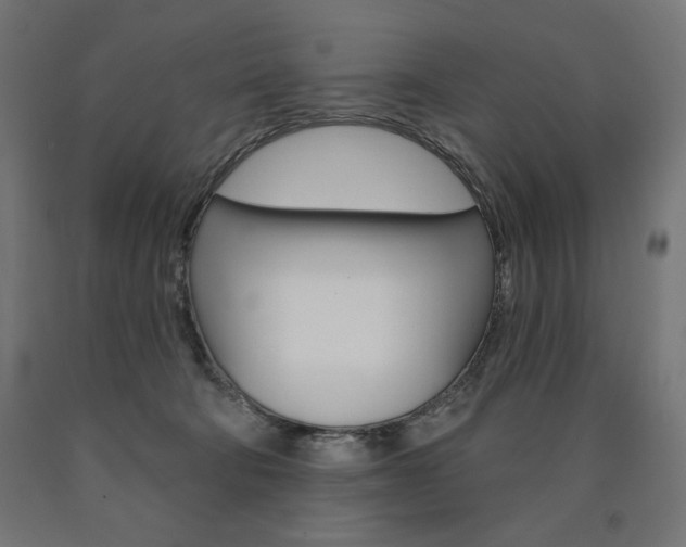 X0000090980322200708021147