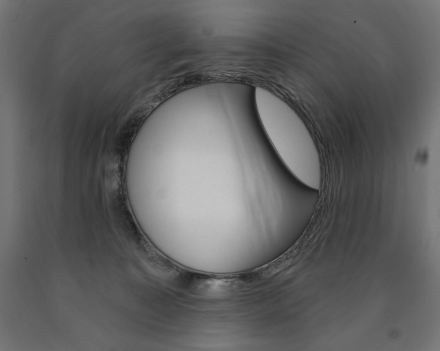X0000090980323200708021147