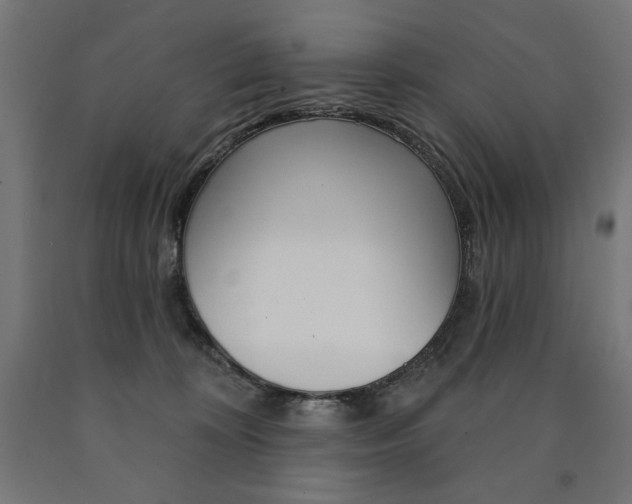 X0000090980324200708021147