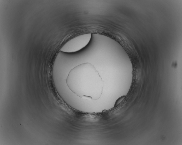X0000090980326200708021147