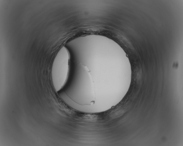 X0000090980328200708021147