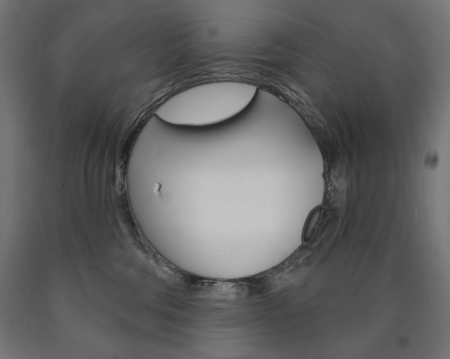 X0000090980330200708021147