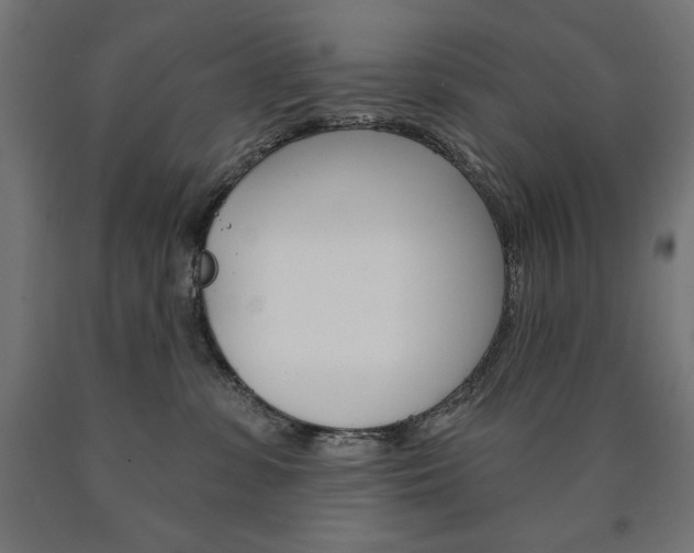 X0000090980331200708021146