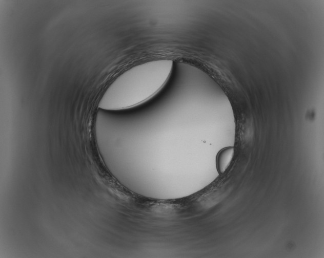 X0000090980332200708021146