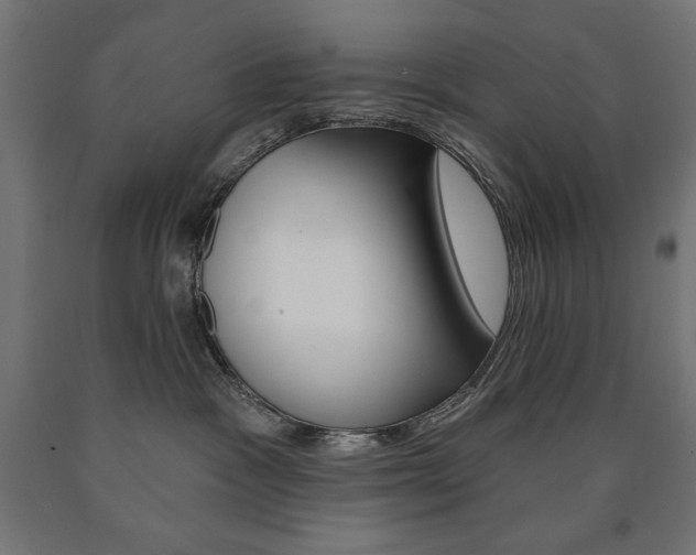 X0000090980333200708021146
