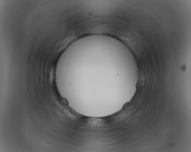 X0000090980334200708021146