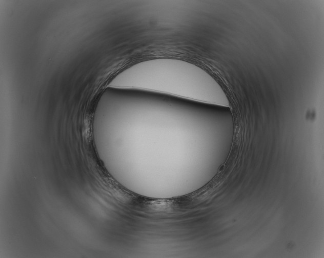 X0000090980335200708021146