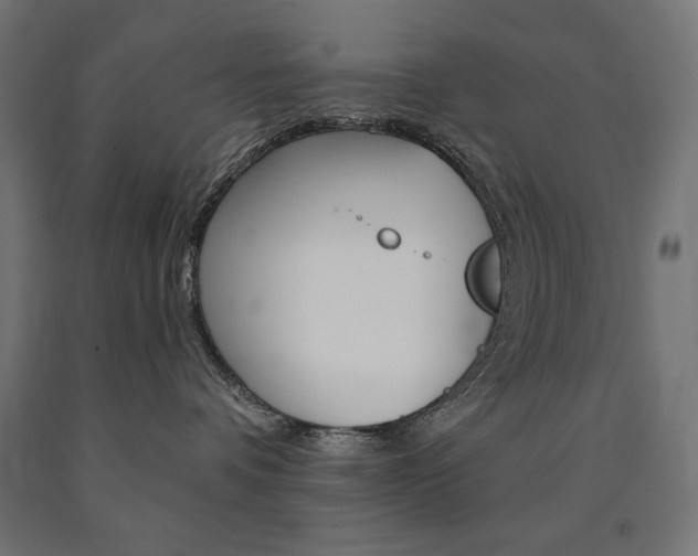 X0000090980336200708021146
