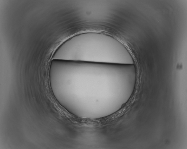 X0000090980337200708021146