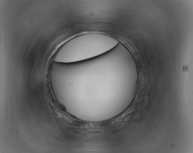 X0000090980338200708021146