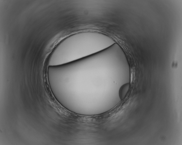 X0000090980339200708021146