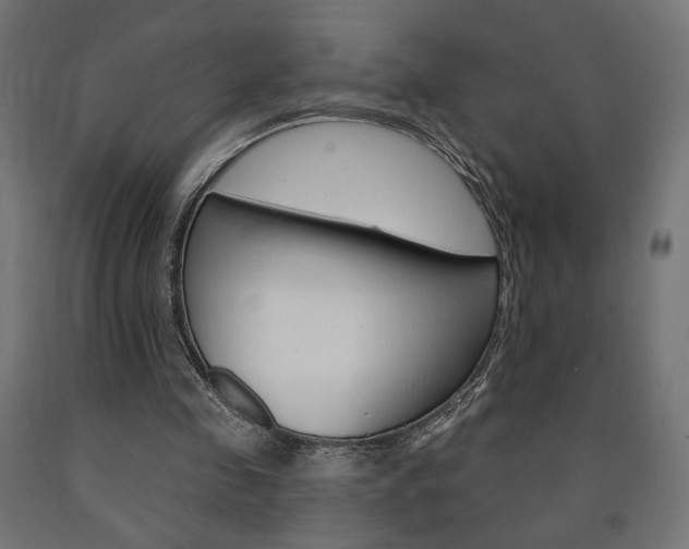 X0000090980341200708021146