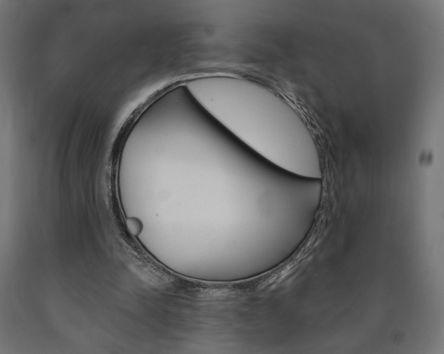 X0000090980342200708021146
