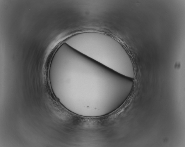 X0000090980343200708021146