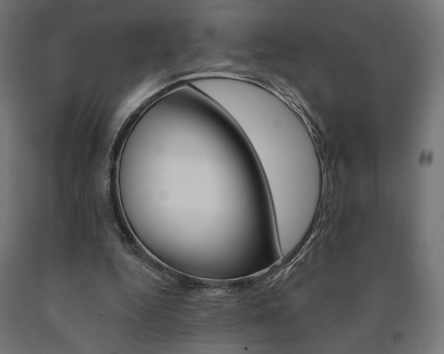 X0000090980344200708021146