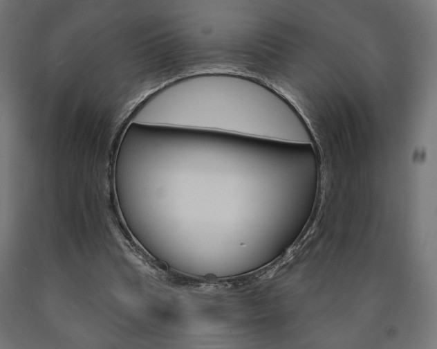 X0000090980345200708021146