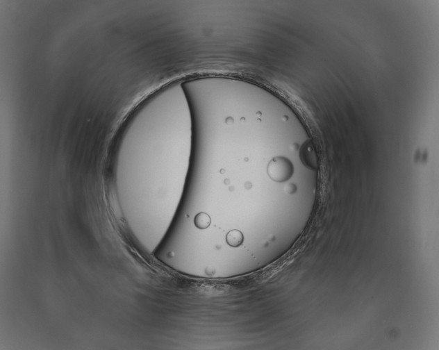 X0000090980346200708021146