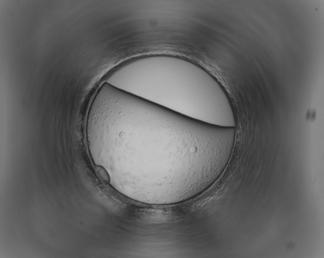 X0000090980347200708021146