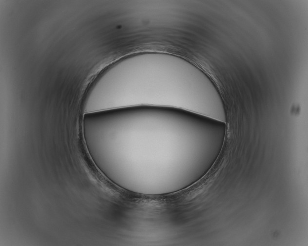 X0000090980349200708021146